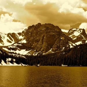 Meet your Posher, Carrie